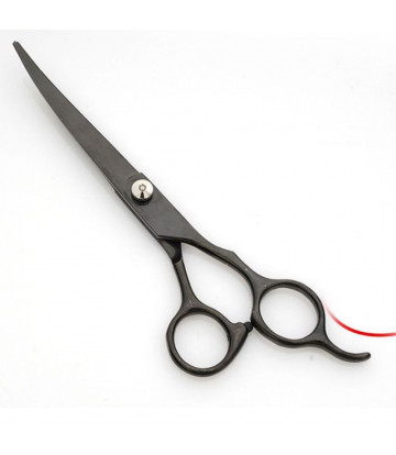 Coiffure Scissor Professional